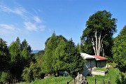 Al Monte Zucco (1232 m) da S. Antonio Abbandonato il 21 agosto 2018  - FOTOGALLERY